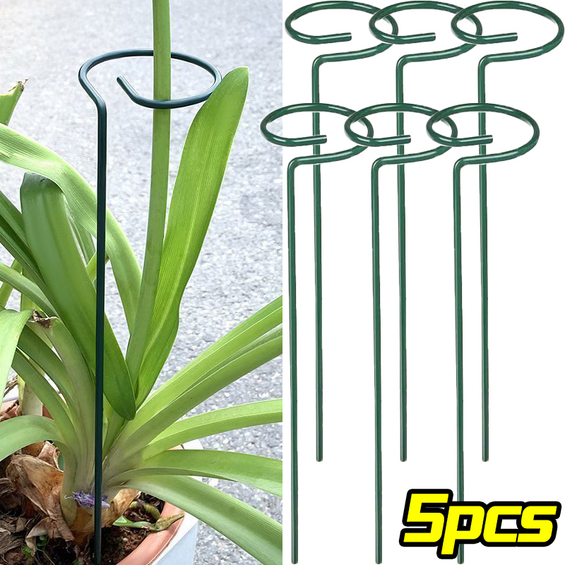 Plant Support Stake - 1/10 pçs suporte de jardim anel