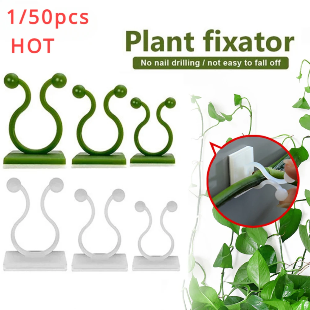Plant Support Stake - 1/30/50 pçs para acessórios de jardim