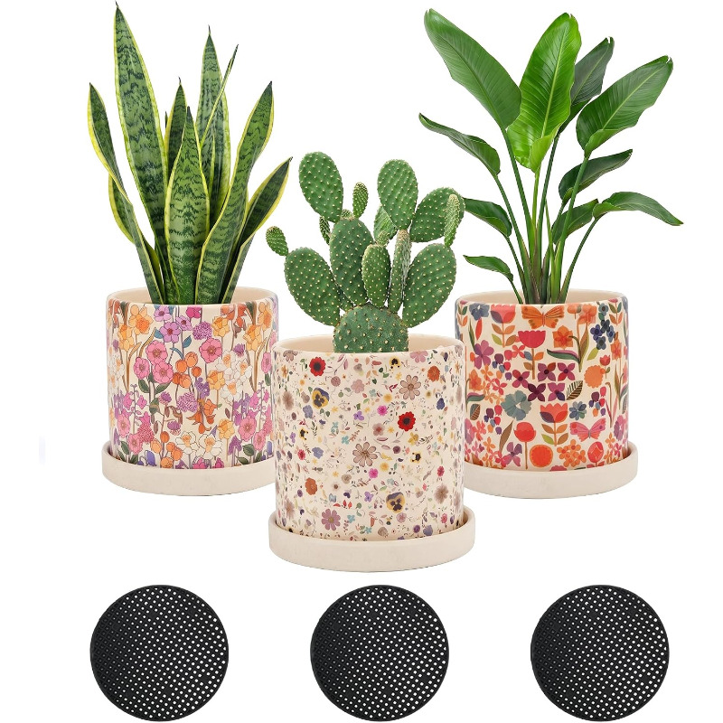 Snake Plant Ceramic - 3 Peças de Vasos de Cerâmica