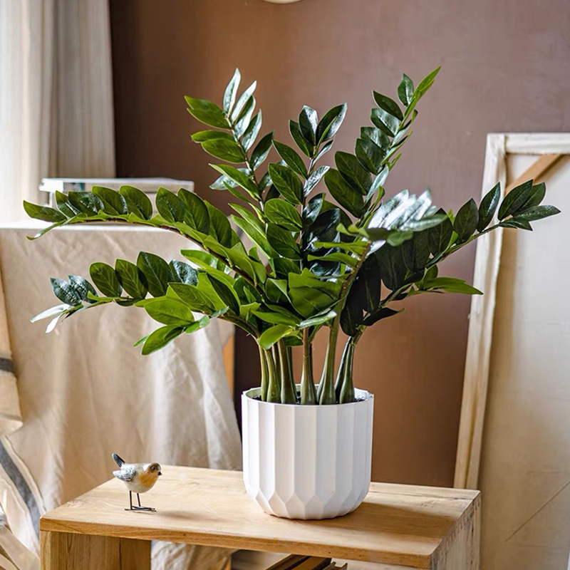 Snake Plant - 25in Tropical Grande Artificial Ficus Plantas
