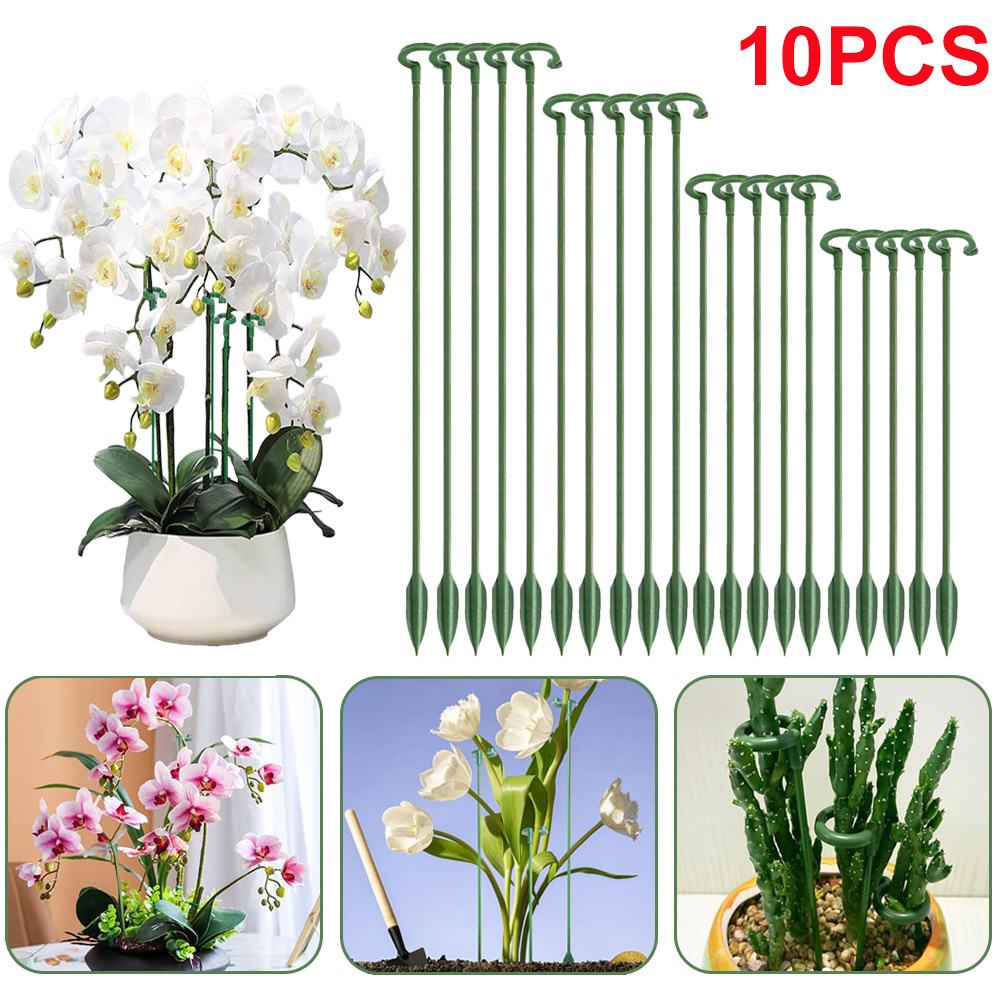 Succulent Set - Suportes para Plantas em Vaso (5/10
