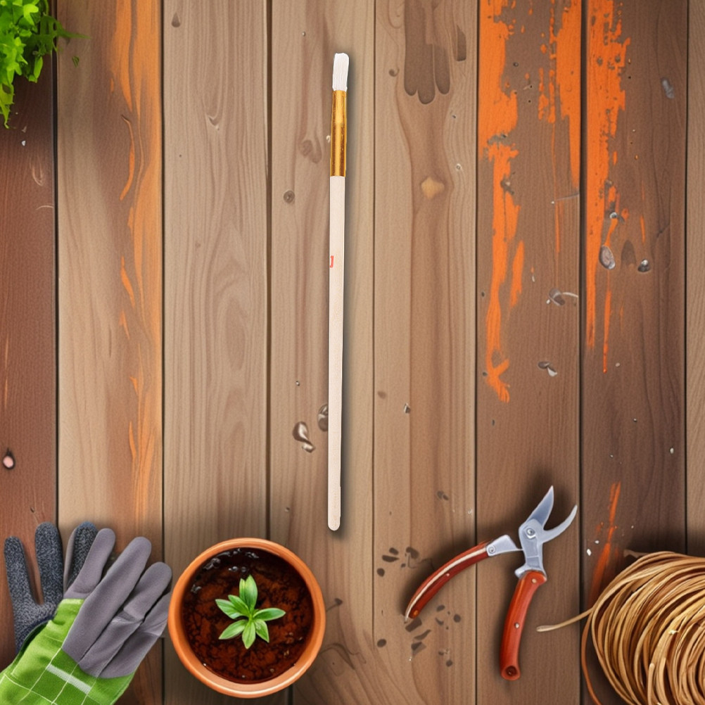 10 unidades de escovas de poli - Indoor Plants avaliação e preço