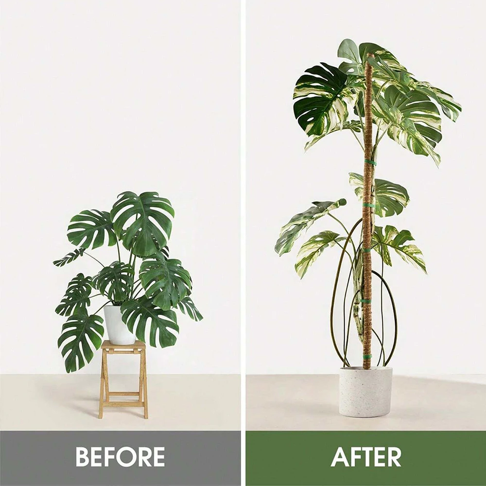 Estacas de suporte para musgo  - Plant Support Stake avaliação e preço