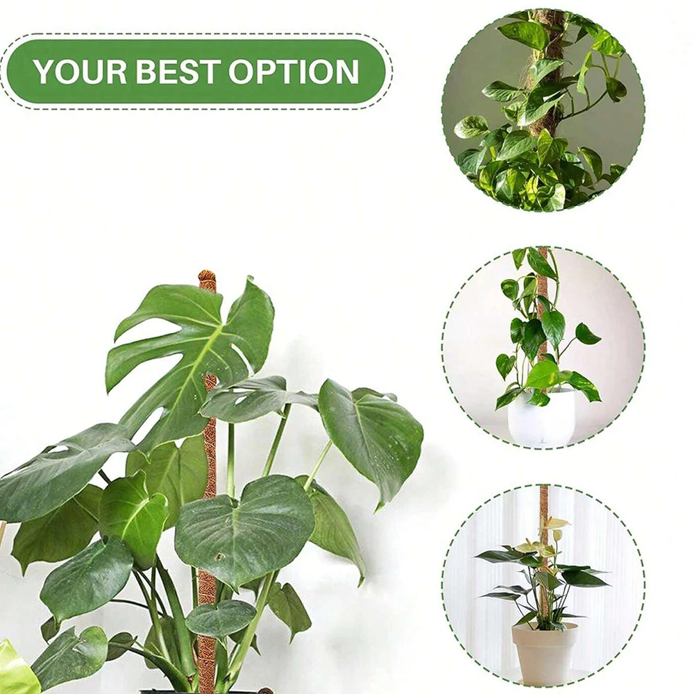 Estacas de suporte para musgo  - Plant Support Stake avaliação e preço