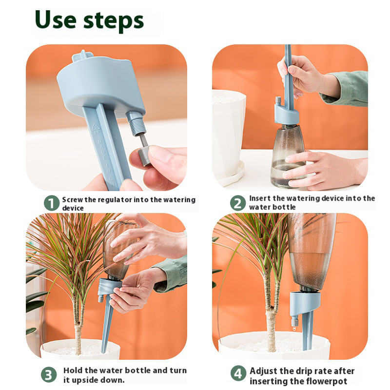 Novo dispositivo automático de - Succulent Set avaliação e preço