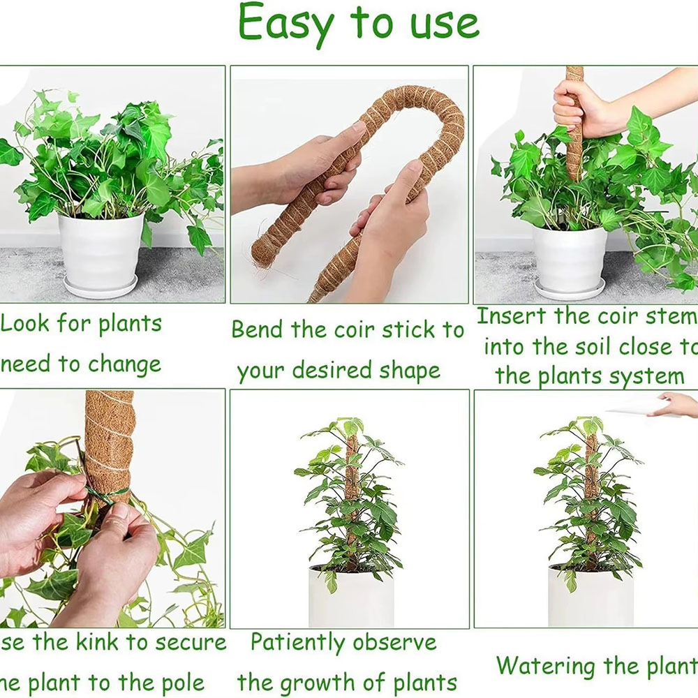 Suporte para Plantas em Vaso d - Pothos avaliação e preço