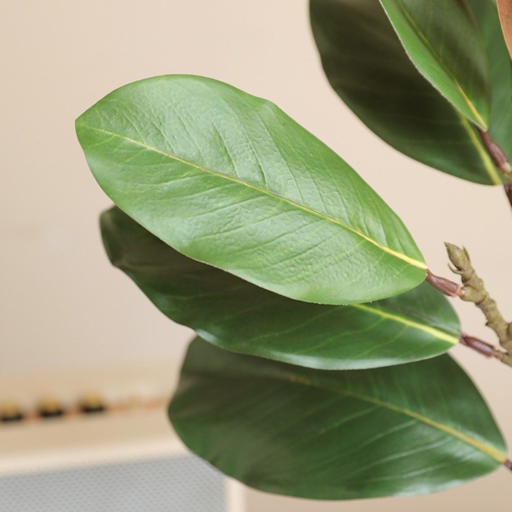 Folhas de magnólia artificial  - Snake Plant avaliação e preço