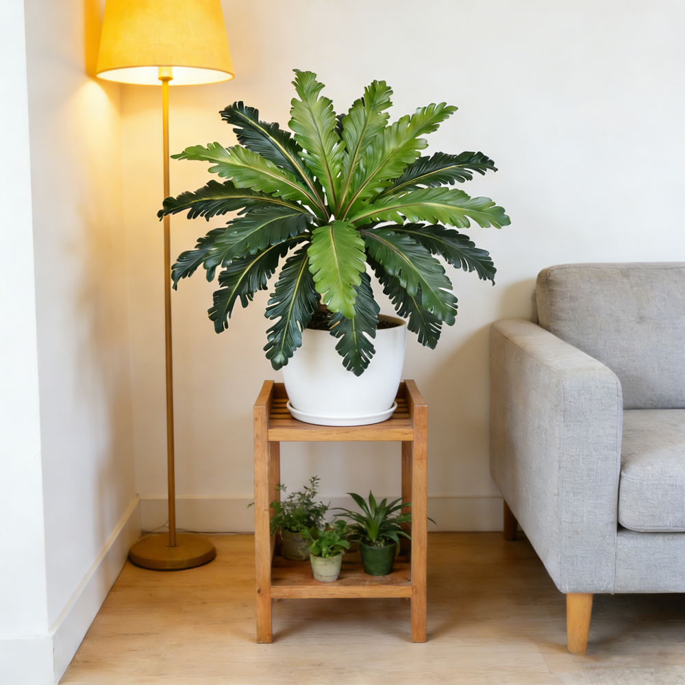 Folhas Persas Tropicais Artifi - Snake Plant avaliação e preço