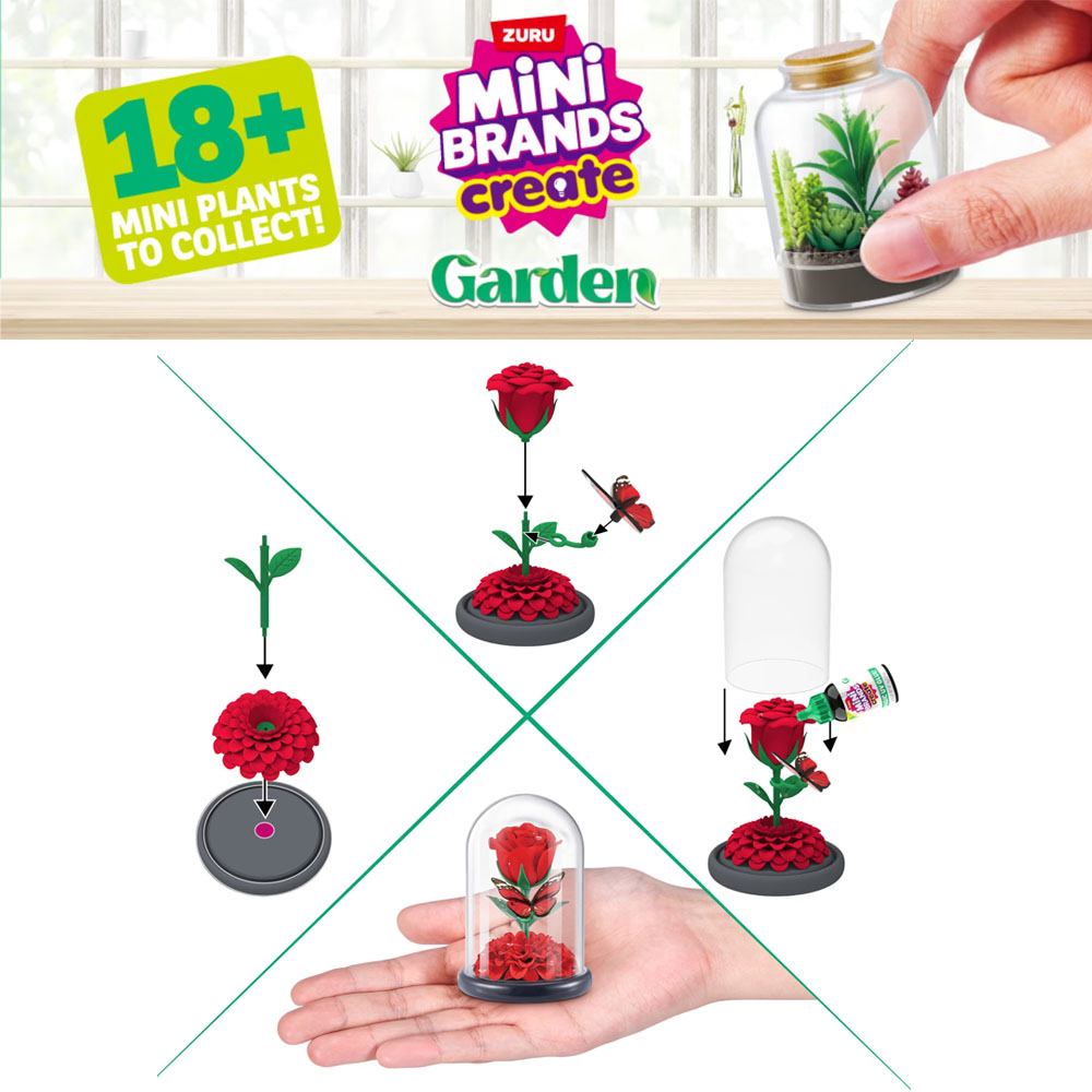 Conjunto de Plantas DIY para J - Succulent Set avaliação e preço