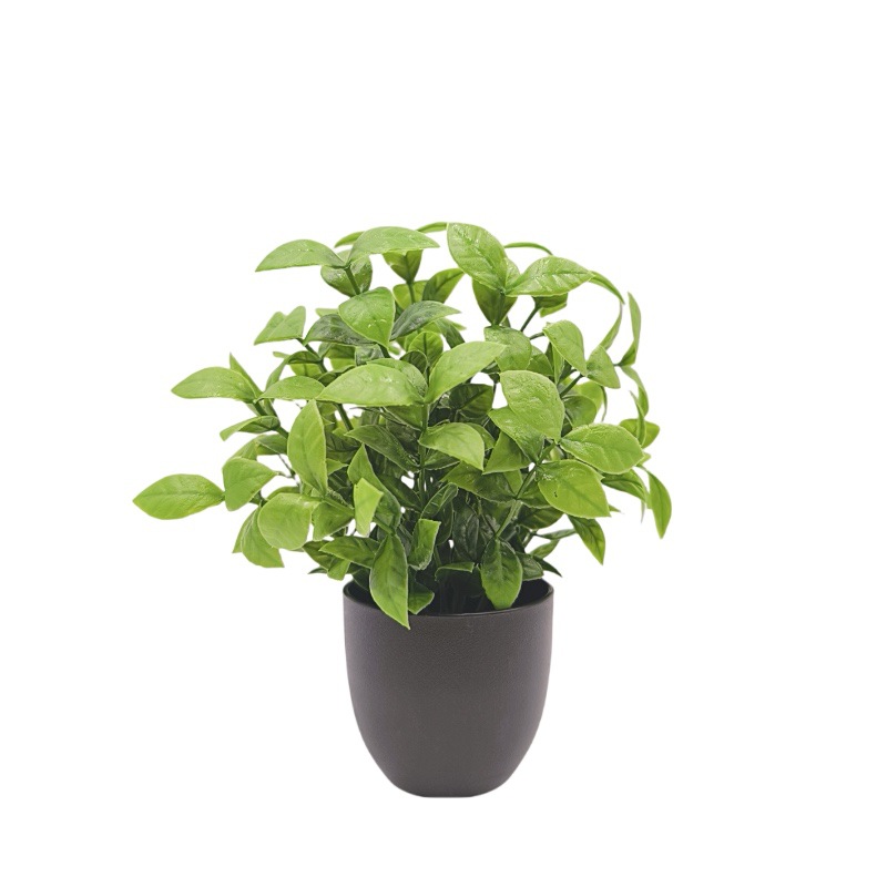 Bonsai de Planta Verde Simulad - Succulent Set avaliação e preço