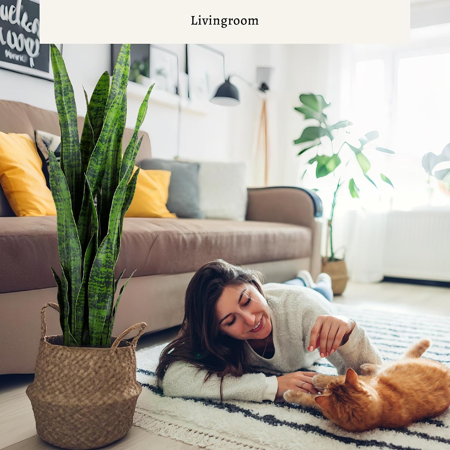 Planta artificial de sansevier - Snake Plant avaliação e preço