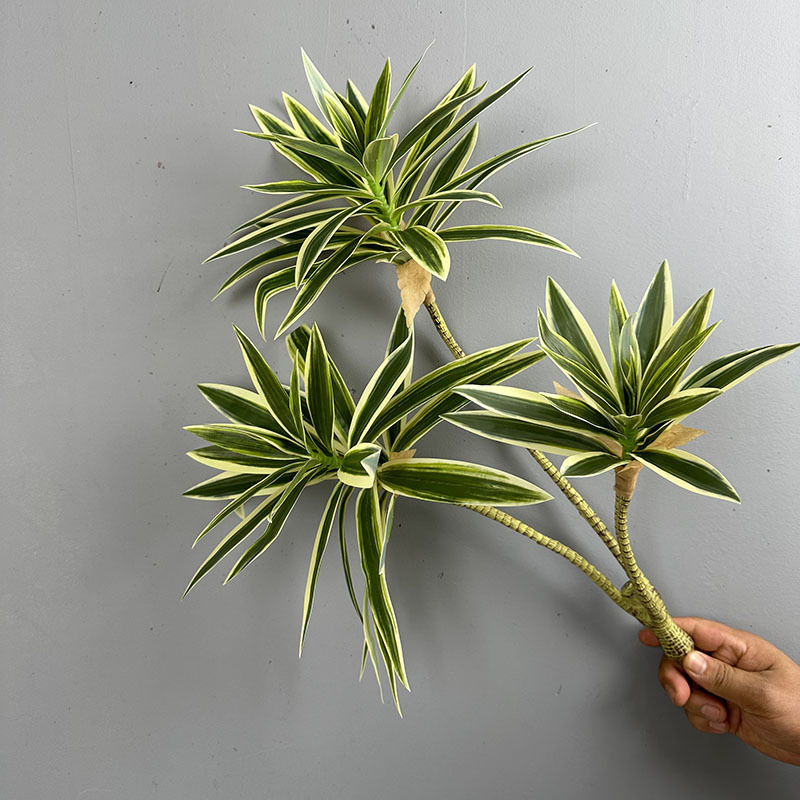 Plantas verdes simuladas, 3 ca - Snake Plant avaliação e preço