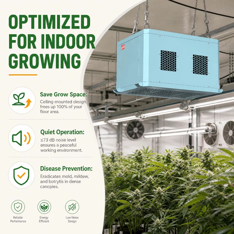 Desumidificador de estufa pote - Indoor Plants avaliação e preço